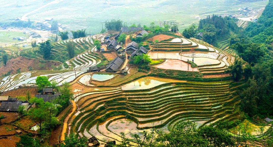 Image gallery